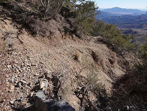 Harris Saddle Trail