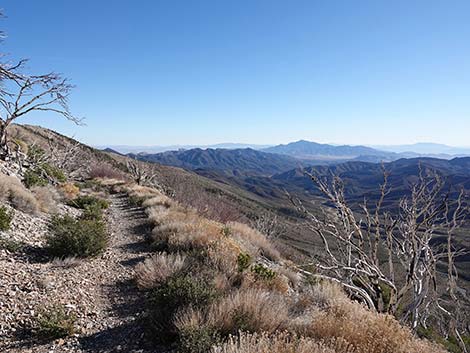 Harris Saddle Trail