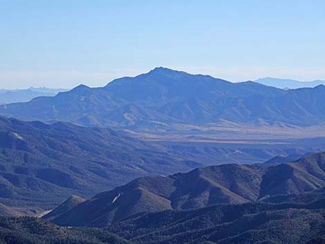 Harris Saddle Trail