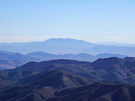 Harris Saddle Trail