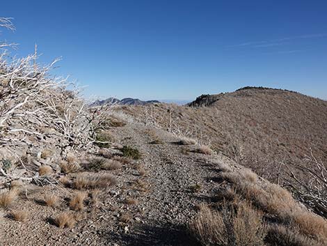 Harris Saddle Trail