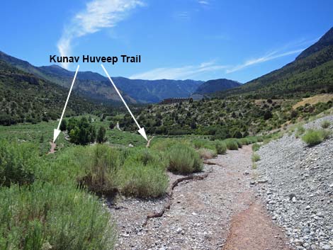 Kunav Huveep Trail