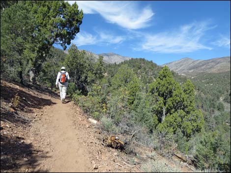 Lovell Canyon Trail