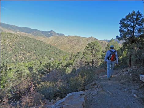 Lovell Canyon Trail