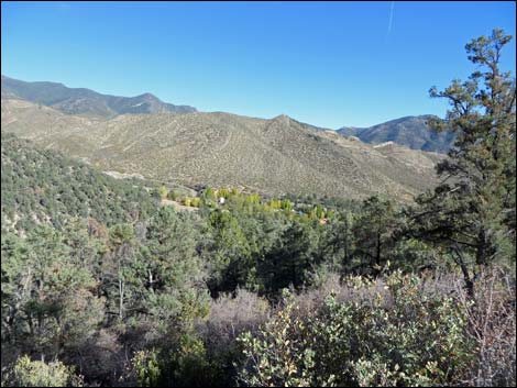 Lovell Canyon Trail