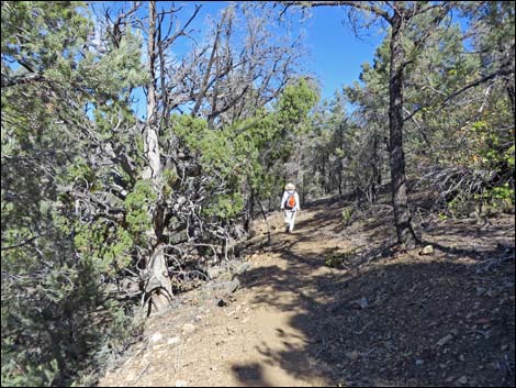 Lovell Canyon Trail