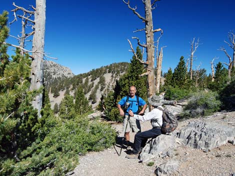 North Loop Trail -- North Ridge