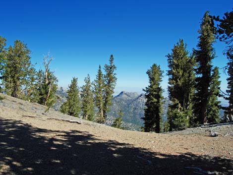 North Loop Trail -- North Ridge