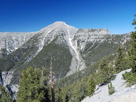 North Loop Trail -- North Ridge