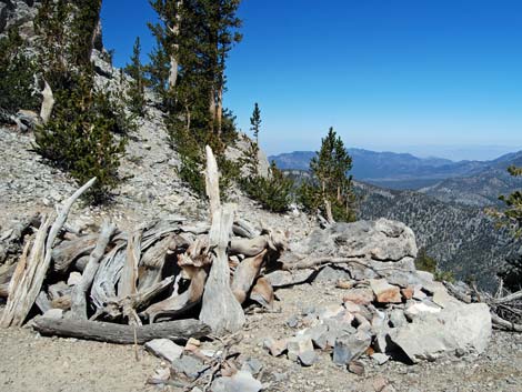 North Loop Trail -- North Ridge