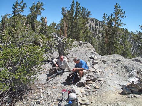 North Loop Trail - North Ridge