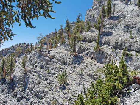 Mt Charleston, East Face