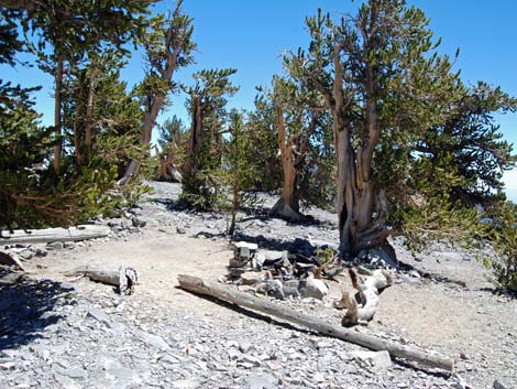 Mt Charleston, East Face