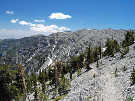 Mt Charleston, East Face