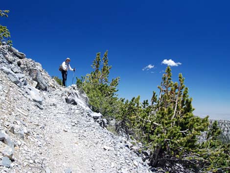 Mt Charleston, East Face