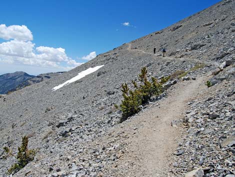 Mt Charleston, East Face