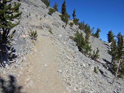 Mt Charleston, East Face