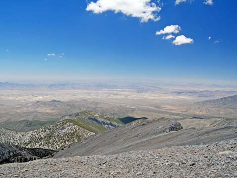 Mt. Charleston Summit