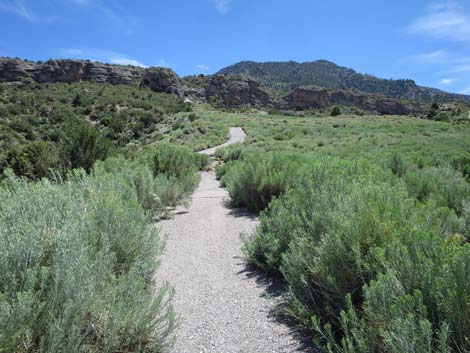 Escarpment Trail