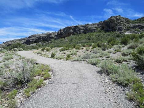 Escarpment Trail