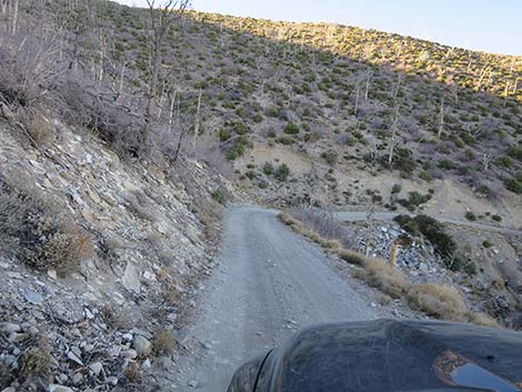 Harris Mountain Road