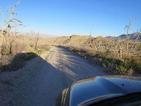 Harris Mountain Road