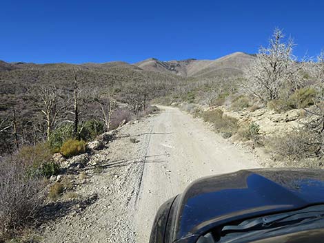 Harris Mountain Road