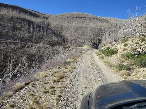 Harris Mountain Road