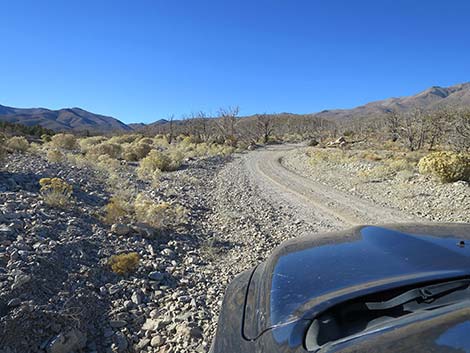 Harris Mountain Road