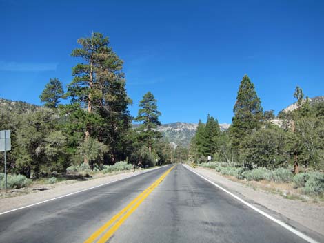 Kyle Canyon Road