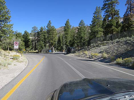 Kyle Canyon Road