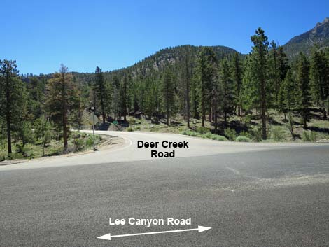 Lee Canyon Road