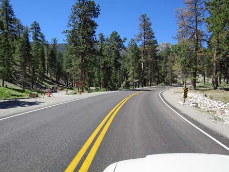 Lee Canyon Road