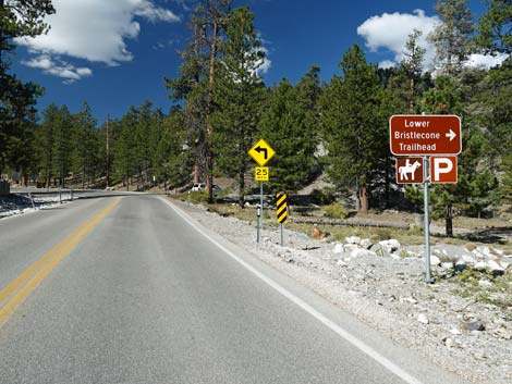 Lee Canyon Road