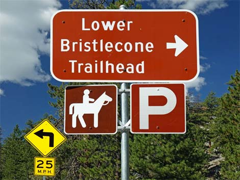 Lower Bristlecone Trailhead