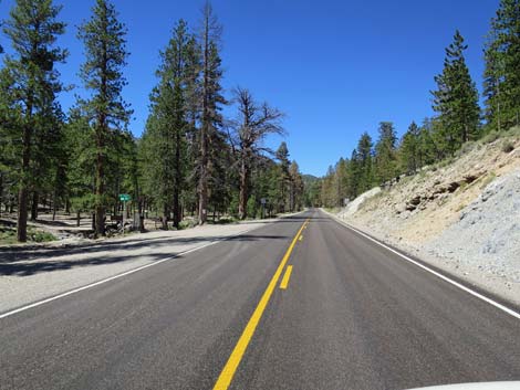 Lee Canyon Road