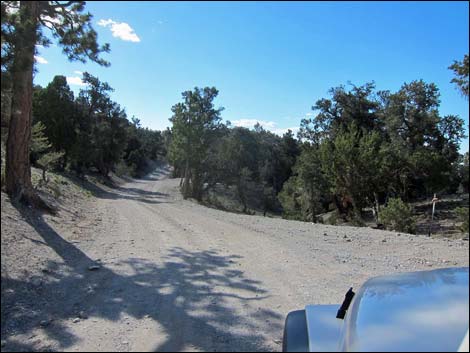 Mack's Canyon Road