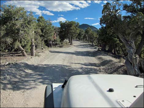 Mack's Canyon Road