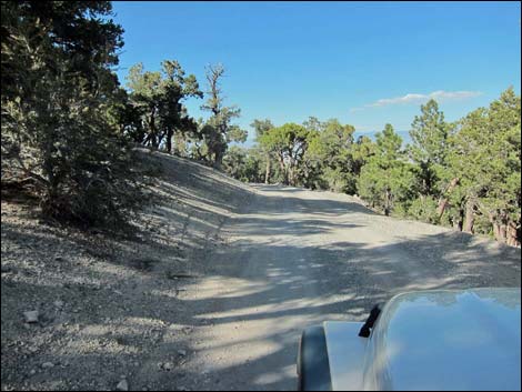 Mack's Canyon Road