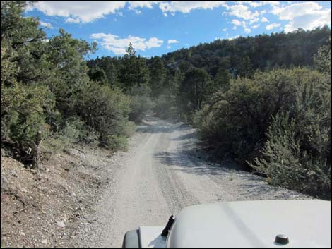 Mack's Canyon Road