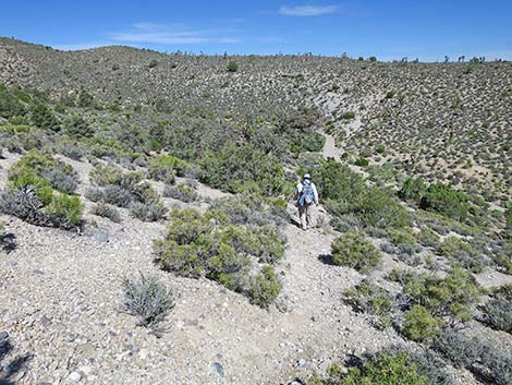 Rocky Gorge Loop Trail