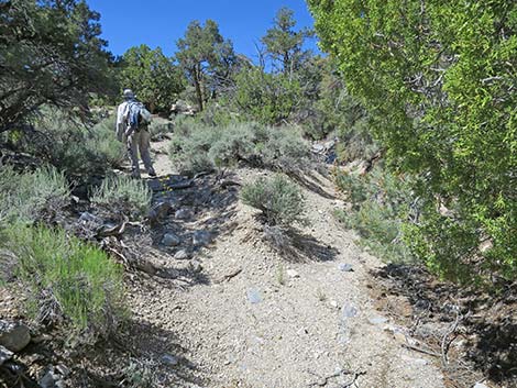 Rocky Gorge Loop Trail