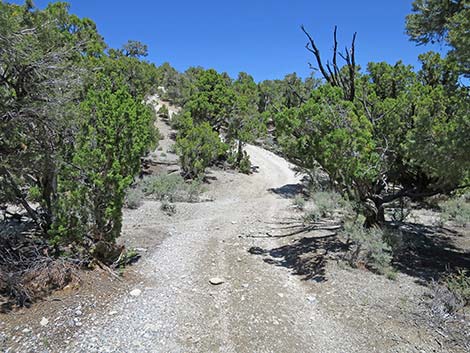 Rocky Gorge Loop Trail