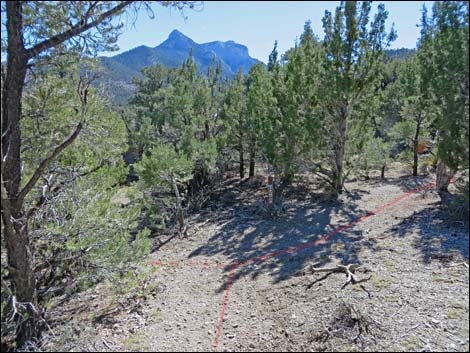 Sawmill Loop Trail