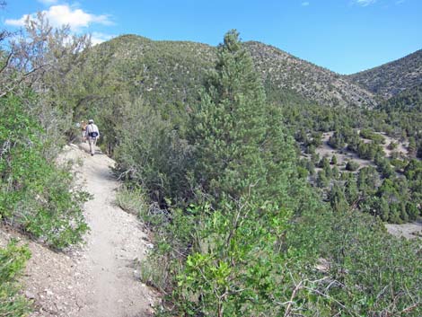 Lower Telephone Canyon Trail