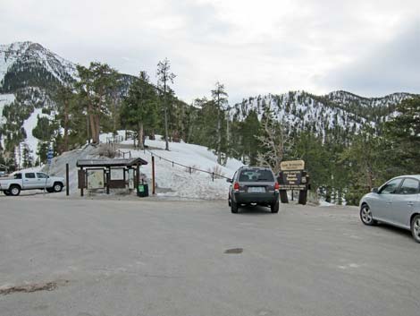 Upper Bristlecone Trailhead