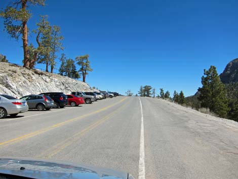 Upper Bristlecone Trailhead