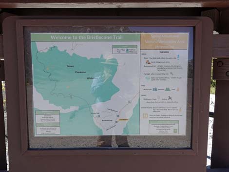 Upper Bristlecone Trailhead