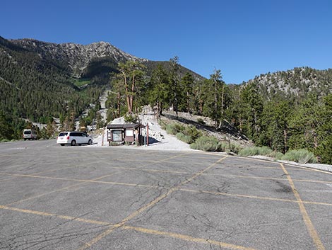 Upper Bristlecone Trailhead