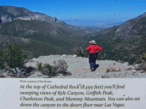 Cathedral Rock Trailhead